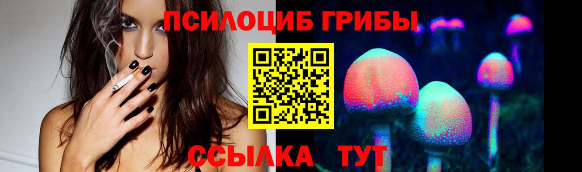 Галлюциногенные грибы прущие грибы  Галлюциногенные грибы Psilocybine cubensis  Вход с VPN  Владимир 